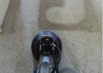 The Importance of Regular Carpet Cleaning for Allergy Sufferers