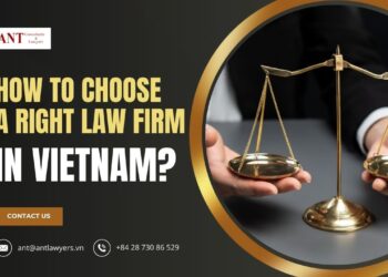 How to Choose a Law Firm in Vietnam: A Guide for Legal Success