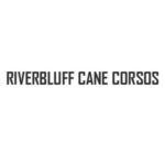 Profile picture of River Bluff Cane Corso